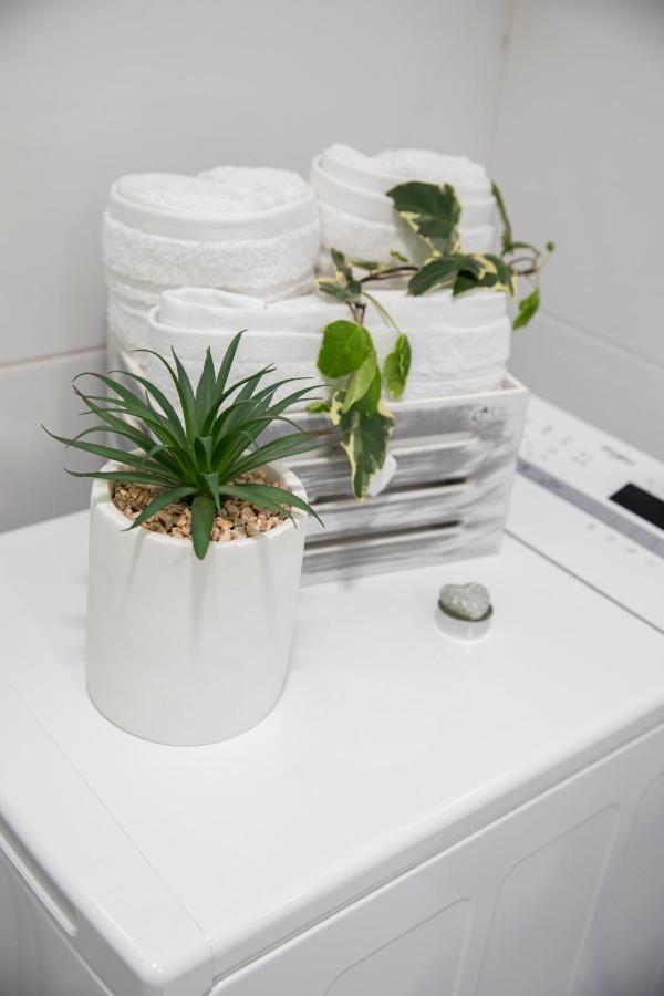 Studio Apartman Meli 里耶卡 外观 照片
